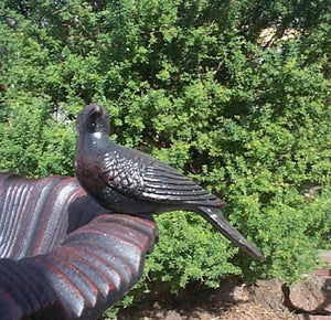 Close up of Cast Iron Bird sitting on BirdBath in black red colour