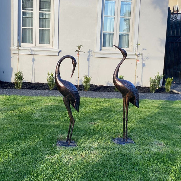 Niles & Frasier Pair of Garden Ornamental Cranes looking at home in someone's front garden on a green lawn with house behind and small rose bushes and shrubs growing