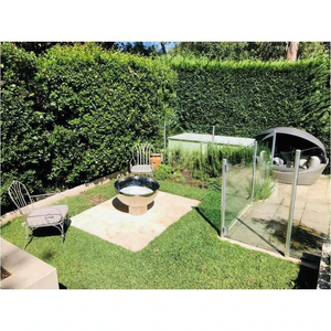 The Goblet Stainless Steel Fire Pit on the 150mm stand in backyard setting