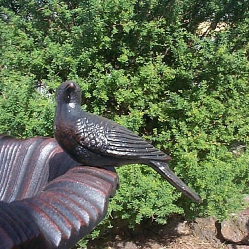 Close up of Cast Iron Bird sitting on the edge of the Canterbury Bird Bath in black/red colour with bushes and large rocks in the background.