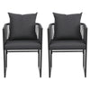 Two black chairs with gray cushions on a white background