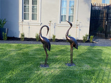 Load image into Gallery viewer, Niles &amp; Frasier Pair of Garden Ornamental Cranes looking at home in someone&#39;s front garden