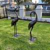 Niles & Frasier Pair of Garden Ornamental Cranes  show casing someone's front garden