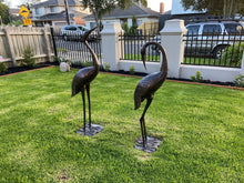 Load image into Gallery viewer, Niles &amp; Frasier Pair of Garden Ornamental Cranes  show casing someone&#39;s front garden
