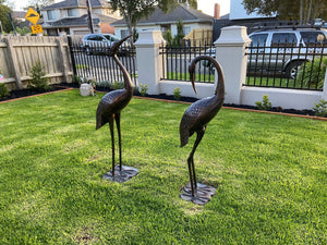 Niles & Frasier Pair of Garden Ornamental Cranes  show casing someone's front garden