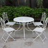 Albany 5-Piece Wrought Iron Setting in white on a cement floor area in front of green hedges and palm trees.