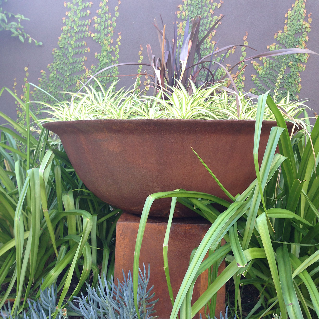 Cast Iron Deep Fire Pit Bowl with Cube Base used as planter with spider plants in it and sitting in a garden bed amongst other plants and fernery.