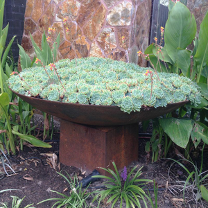100cm Cast Iron Firepit Bowl used as a planter