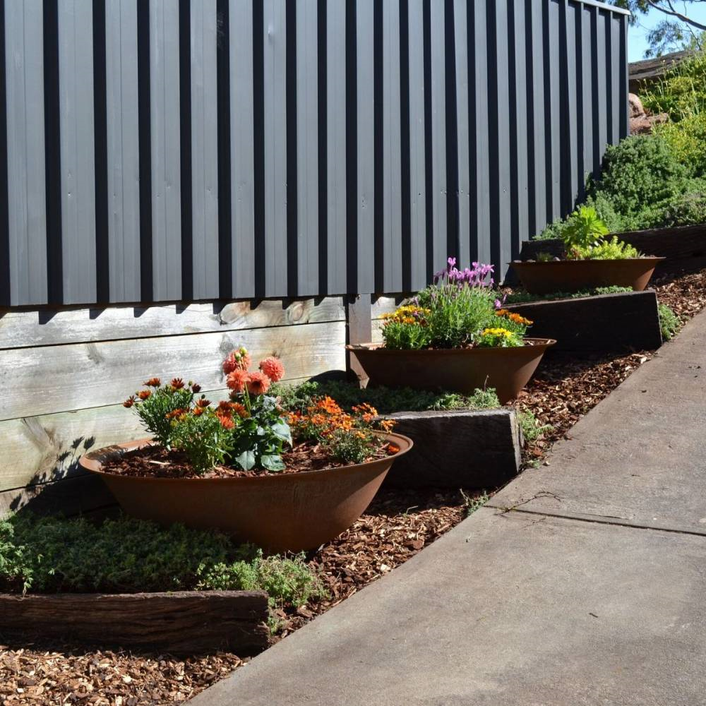 Several Rust coloured cast iron round basin fire pits used as flower planters in a garden setting along a driveway fence.