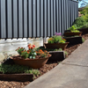 Several Rust coloured cast iron round basin fire pits used as flower planters in a garden setting along a driveway fence.